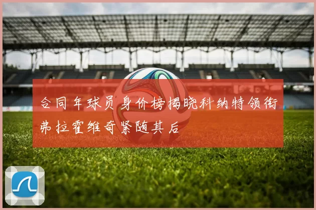 合同年球员身价榜揭晓科纳特领衔弗拉霍维奇紧随其后